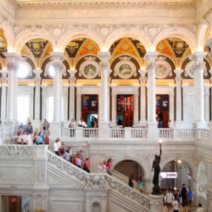 Profile picture of Anne E. B. Coldiron