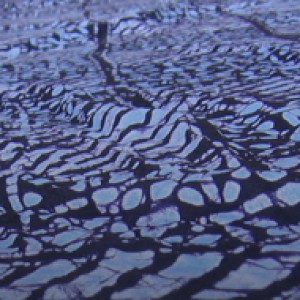 Profile picture of Matthew H. Brown