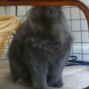 Profile picture of Derrick R. Spires