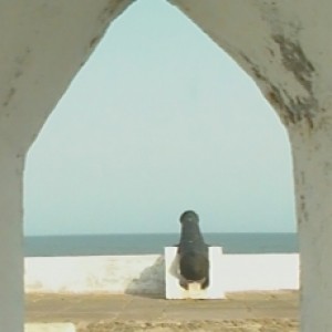 Profile picture of K Eaton