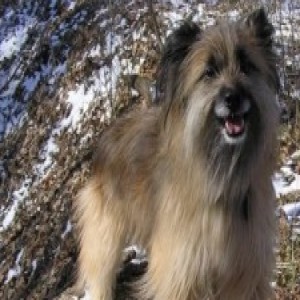 Profile picture of Gary Lee Stonum