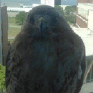 Profile picture of Alex Mueller