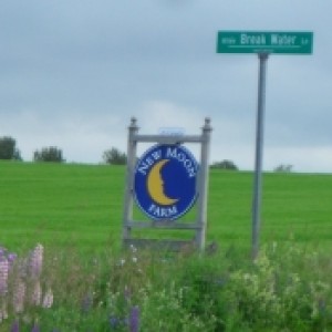 Profile picture of Caroline E. Jones