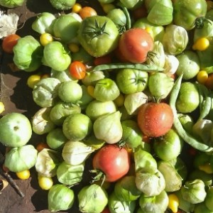 Profile picture of Kirstyn Leuner