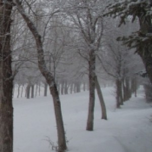 Profile picture of Carmen Derkson