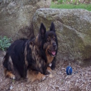 Profile picture of George Griffin