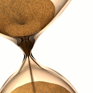 Profile picture of Carmen Pérez-Muñoz