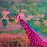 Profile picture of Antonio J. Bonome