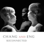 Profile picture of Cynthia Wu