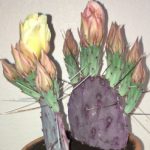 Profile picture of Claudia Nazario