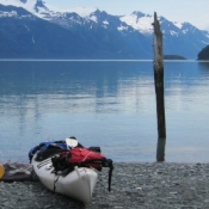 Profile picture of Lisa Vollendorf