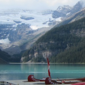 Profile picture of Louise Harrington