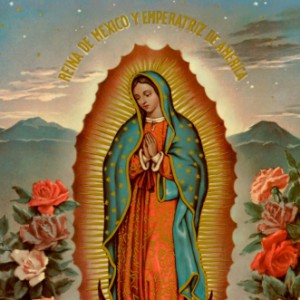 Profile picture of Amber Workman