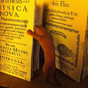 Profile picture of Vimala C. Pasupathi