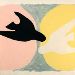 Profile picture of Andrew Small