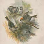 Group logo of Business & Finance