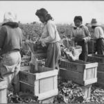 Group logo of Agricultural History