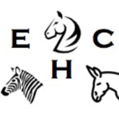 Group logo of Equine History Collective
