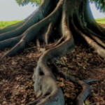 Group logo of Afrocentric Sounds