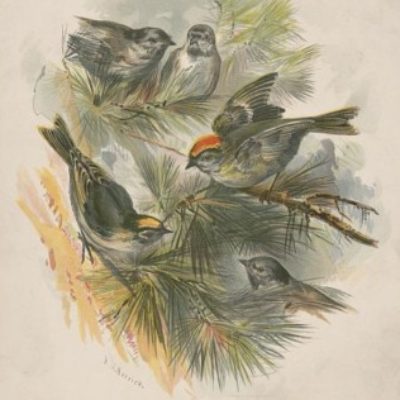 Group logo of Marketing, Sales, & Publicity