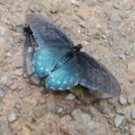 Group logo of Book Discussion Group