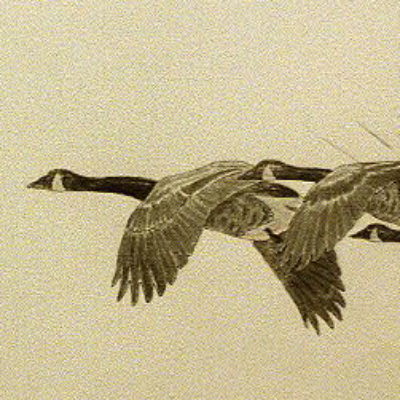 Group logo of P2L Community