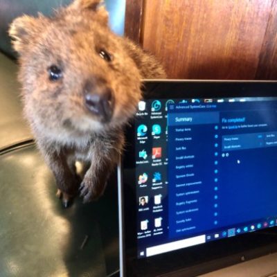 Group logo of Global Renderings in the Queer Digital Humanities