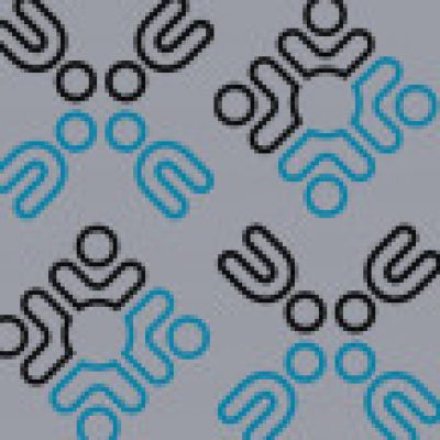 Group logo of BIPOC Scholars in SEEES