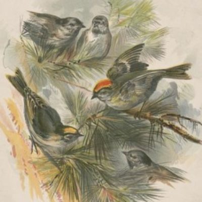 Group logo of UP Week Forum