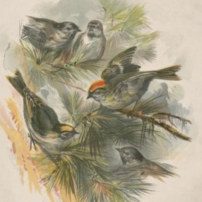 Group logo of Equitable Workplaces