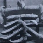 Group logo of Language enrollments and disciplinary trends