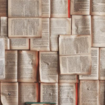 Group logo of Network of Book Review Editors (NBRE)