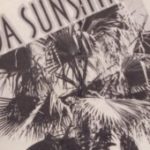 Group logo of ARLIS/NA Southeast Chapter