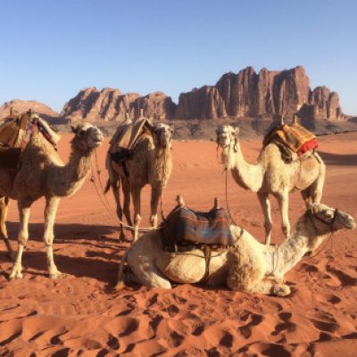 Group logo of Levantine Arabic Dialects