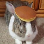 Group logo of Ferdinand's Group