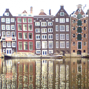 Group logo of LLC Dutch