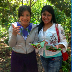 Group logo of Theorizing Fieldwork in the Humanities