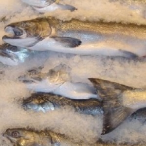 Group logo of Significant Food & Fiction