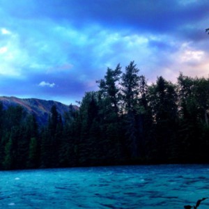 Group logo of TC Ecocriticism and Environmental Humanities