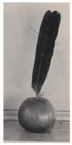 Black and white photograph of a crow's feather inserted into an apple