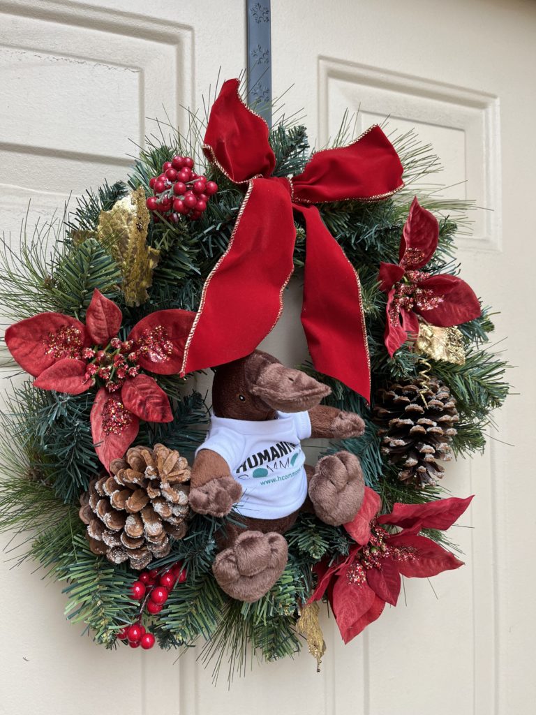 A Christmas wreath with a platypus stuffed animal perched amongst pine cones and poinsettia flowers. 