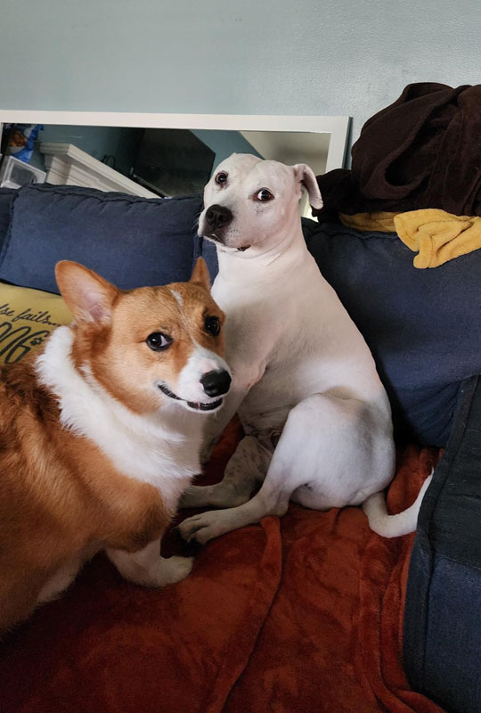 Torbjorn and Penny sitting on a sofa looking cozy.