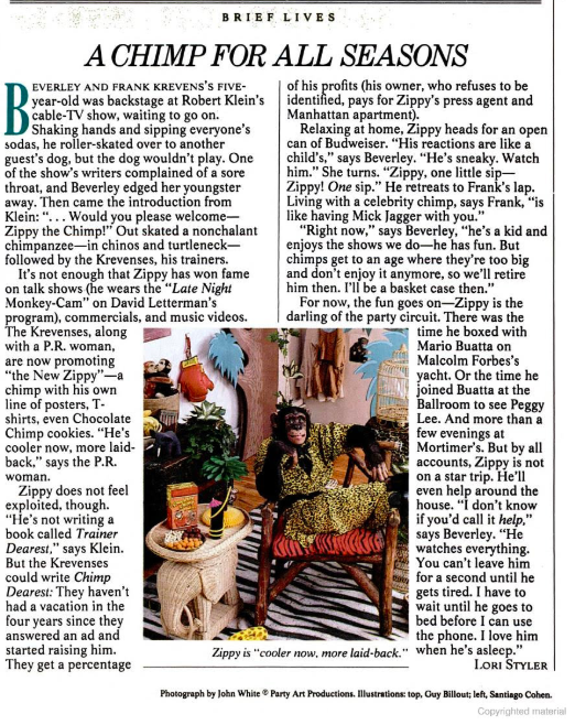 clip from New York magazine with a chimpanzee "smiling" while wearing a zebra-print robe 