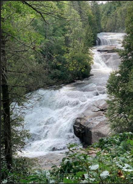 A mountain stream cascades through greenery.