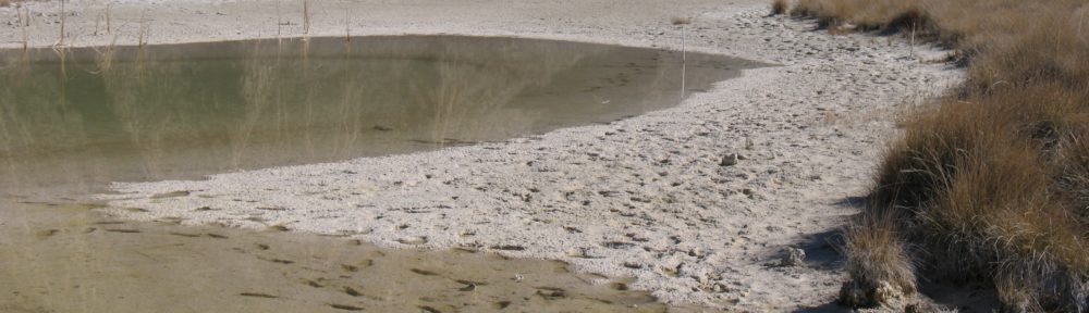 Shored Fragments: Notes, Musings, and Miscellanea 