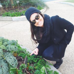 10906497_10153039575073081_3495506292266955069_n