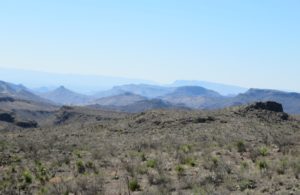 Fig. 2. Looking south toward the Mexican Mountain range. Photograph taken March 11, 2014. Photograph by Nicole Geary