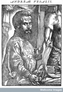 M0008926 Portrait of Andreas Vesalius (1514 - 1564), Flemish anatomist