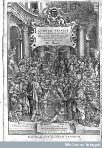 L0025772 A. Vesalius, De humani corporis fabrica libri septum.