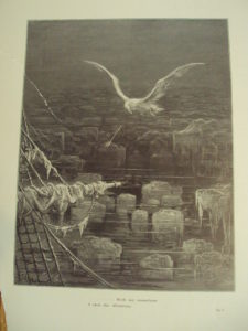 I shot the albatross